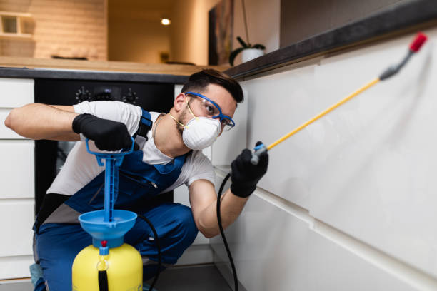 Best Flea Control Services  in Shoemakersville, PA
