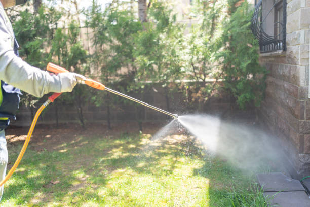 Best Termite Control Services  in Shoemakersville, PA
