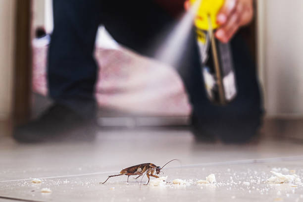 Best Pest Removal Services  in Shoemakersville, PA