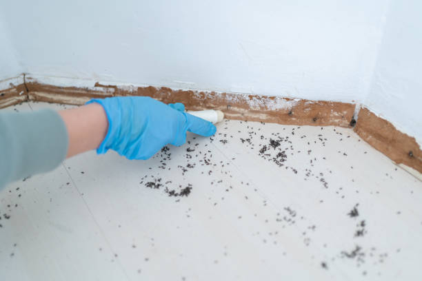Best Residential Pest Control  in Shoemakersville, PA